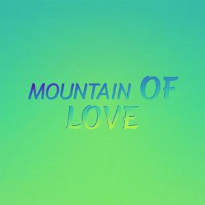 Various Artist的专辑MOUNTAIN OF LOVE