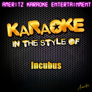 收聽Ameritz Karaoke Entertainment的Warning (Karaoke Version)歌詞歌曲