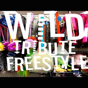Album Tribute to WiLD (feat. Passion Hi-Fi) from Error