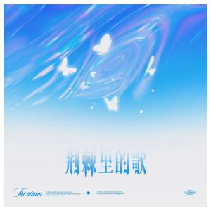 Listen to 荆棘里的歌 song with lyrics from 蓝心羽