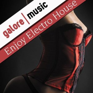 Various的專輯Enjoy Electro House