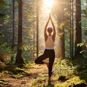 Lograr la armonía interior的專輯Música Con Melodías Suaves Para Una Meditación Suave