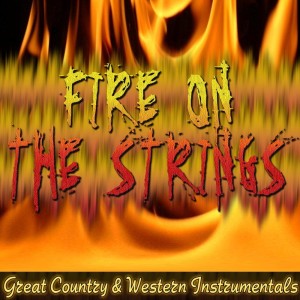 Listen to Hot Rod Guitar song with lyrics from Pete Drake