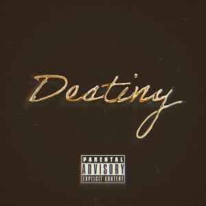 收聽Drizzy的Destiny (Explicit)歌詞歌曲