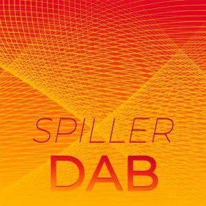 Various Artists的專輯Spiller Dab