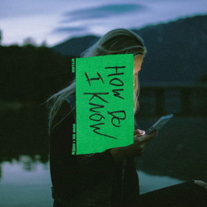 Listen to How Do I Know song with lyrics from Wylma
