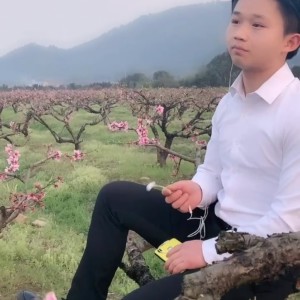 Dengarkan lagu 不忘初心 (Live) nyanyian 刘凌 dengan lirik