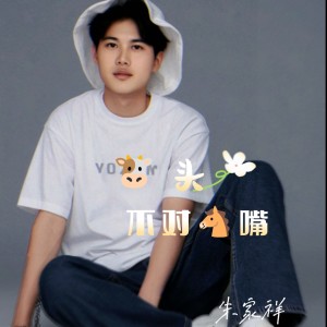 Listen to 牛头不对马嘴 (完整版) song with lyrics from 朱家祥