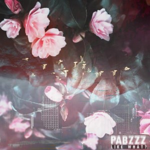 ดาวน์โหลดและฟังเพลง Like What? พร้อมเนื้อเพลงจาก Pabzzz