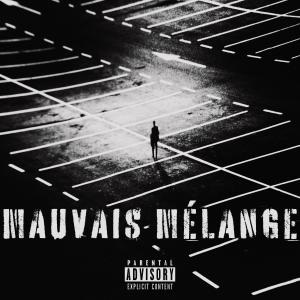 Listen to MAUVAIS MÉLANGE (Explicit) song with lyrics from Youss