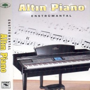 ดาวน์โหลดและฟังเพลง I Like Chopin พร้อมเนื้อเพลงจาก Mustafa Çalkılıç