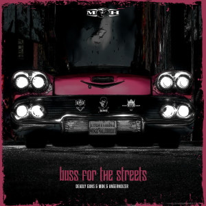 ดาวน์โหลดและฟังเพลง Bass For The Streets พร้อมเนื้อเพลงจาก Deadly Guns