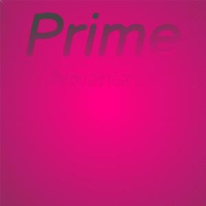 อัลบัม Prime Acquaintance ศิลปิน Various Artists