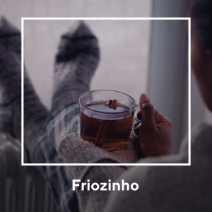 อัลบัม Friozinho ศิลปิน Various Artists