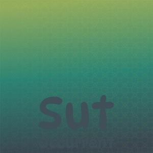 Listen to Homicide Veil song with lyrics from Luciie Saus