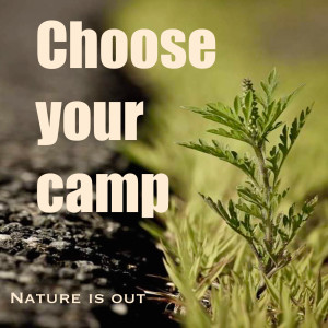 ดาวน์โหลดและฟังเพลง On the Edge or the Cliff (Explicit) พร้อมเนื้อเพลงจาก Choose your camp