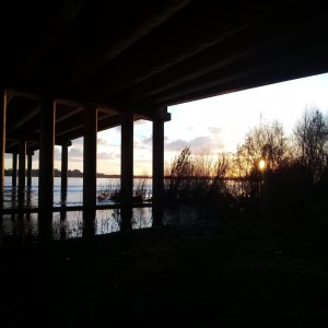 Album Musical Therapy from Parley