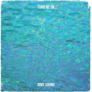 Listen to Turn me on song with lyrics from Dimy sound