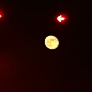 ดาวน์โหลดและฟังเพลง Bad Company (Explicit) พร้อมเนื้อเพลงจาก Young Semi-Auto