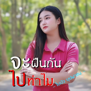 Listen to จะฝืนกันไปทำไม song with lyrics from ใบบัว บุปผาชน