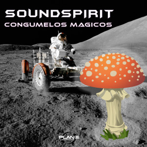 SoundSpirit的專輯Congumelos Magicos