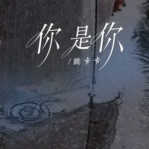Album 你 是你 from 姚卡卡