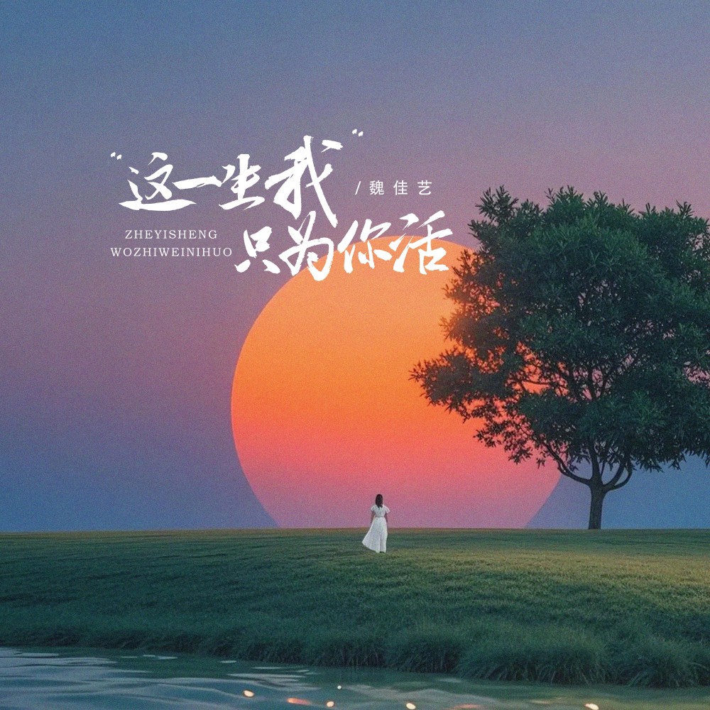 这一生我只为你活（DJ京仔版） (伴奏)