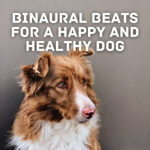 Calming For Dogs的专辑Binaural Beats for a Happy and Healthy Dog