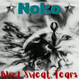 收聽Nokomis的Blood, Sweat, Tears歌詞歌曲
