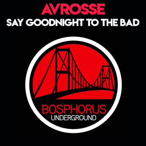 Dengarkan lagu Say Goodnight To The Bad Guy (Patrik Soderbom Remix) nyanyian Avrosse dengan lirik
