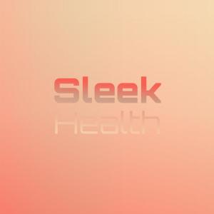 Various的專輯Sleek Health