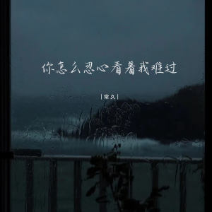 Album 你怎么忍心看着我难过 from 常久