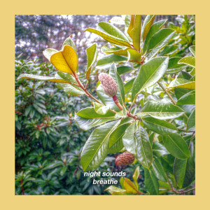 Dengarkan Breathe lagu dari Night Sounds dengan lirik