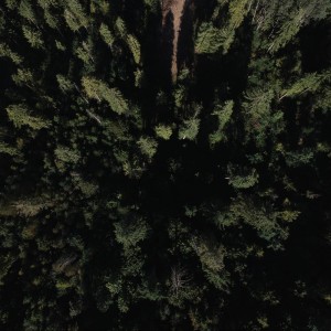 收听Rain for Deep Sleep的Voice of Nature歌词歌曲