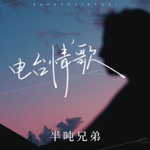 อัลบัม 电台情歌 ศิลปิน 半吨兄弟