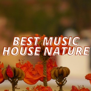 Dengarkan lagu Barricaded (Flowers and Stones Mix) nyanyian Factor 7 dengan lirik