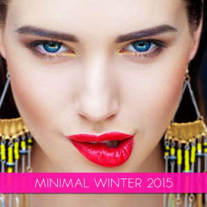 Various Artists的專輯Minimal Winter 2015