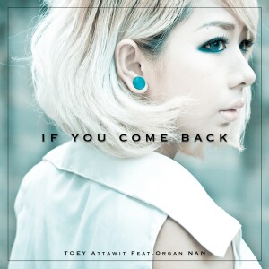 ดาวน์โหลดและฟังเพลง ถ้าเธอย้อนกลับมา พร้อมเนื้อเพลงจาก เต้ย อรรถวิทย์