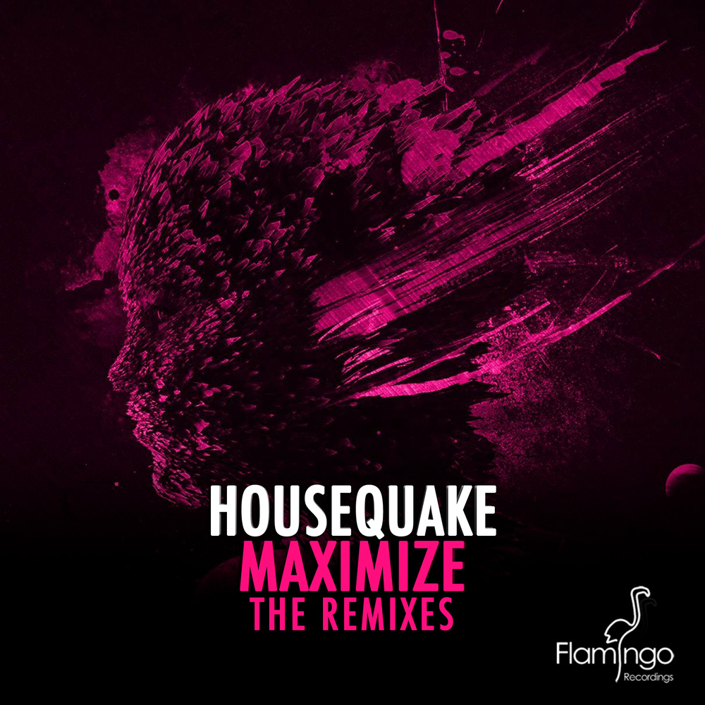 Maximize (Bougenvilla Remix)
