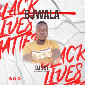 DJ Sky的專輯BJWALA