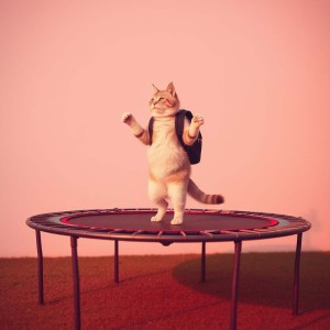 ดาวน์โหลดและฟังเพลง 600 Follower พร้อมเนื้อเพลงจาก DJ Igoy