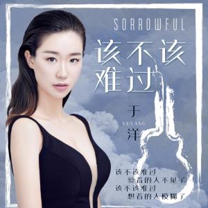 Listen to 该不该难过 song with lyrics from 于洋