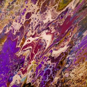 Listen to Somewhere You Won't Find song with lyrics from Old Customer
