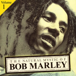 收聽Bob Marley的Small Axe歌詞歌曲