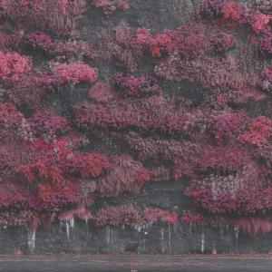 收聽Sleep Token的Emergence歌詞歌曲