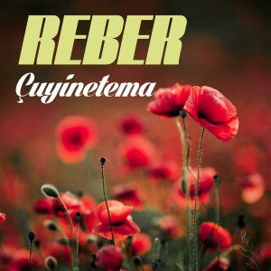 Dengarkan lagu Kamılo nyanyian Reber dengan lirik