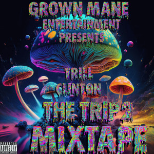 Listen to Confiscated (Explicit) song with lyrics from Trill Clinton