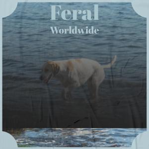 Listen to Frangelico Humidity song with lyrics from Roey Heno