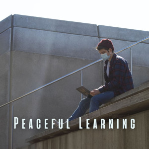 อัลบัม Peaceful Learning: Meditative Piano for Serene Study Vibes ศิลปิน Relaxing Meditation Songs Divine