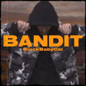 Listen to BANDIT song with lyrics from BlackBabyCat